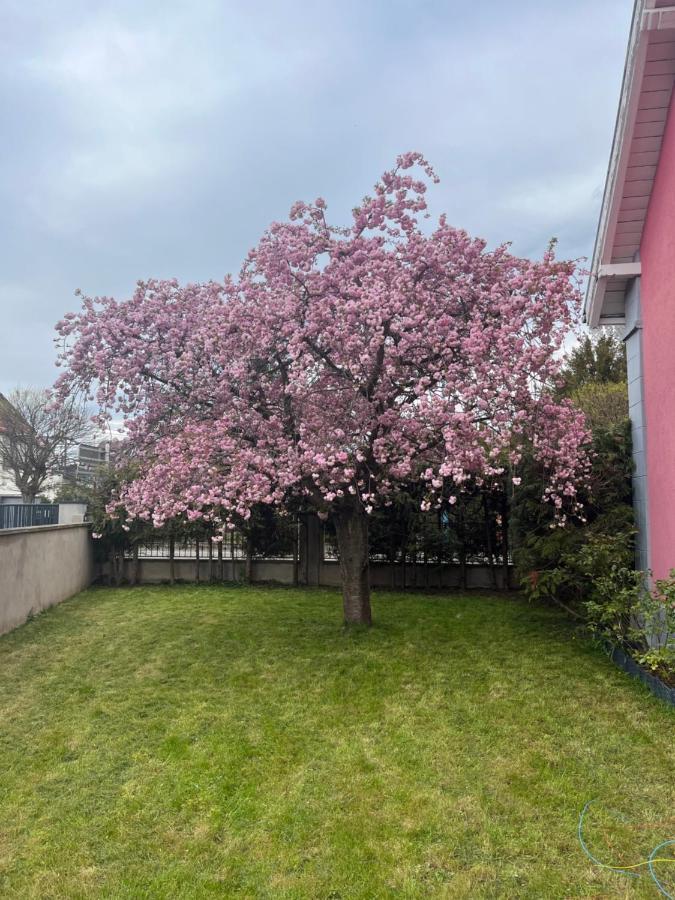 Dorlisheim Logement De Charme - W&B House מראה חיצוני תמונה